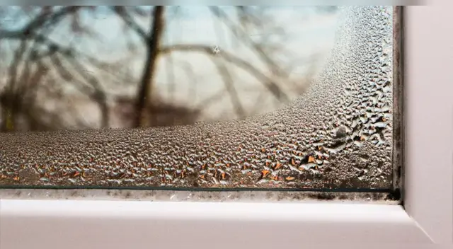 Invierno en Lima: ¿Cómo enfrentar la humedad en el hogar? Esto recomienda el Senamhi