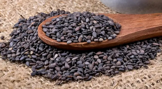 Descubre los beneficios del ajonjolí negro según estudios científicos.
