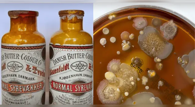 Científicos descubren microbios de hace 130 años dentro de antiguos frascos de mantequilla.