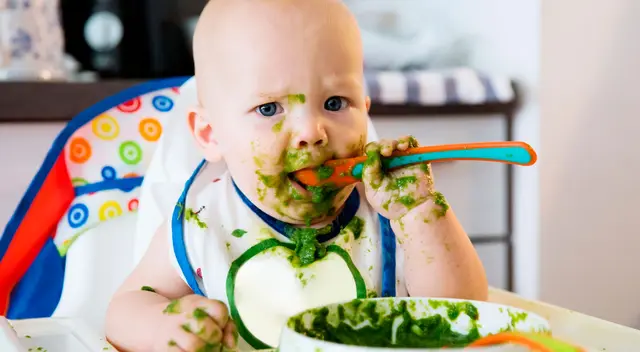 Reconocida marca de comida para bebés es retirada del mercado. Reconocida marca de comida para bebés es retirada del mercado.