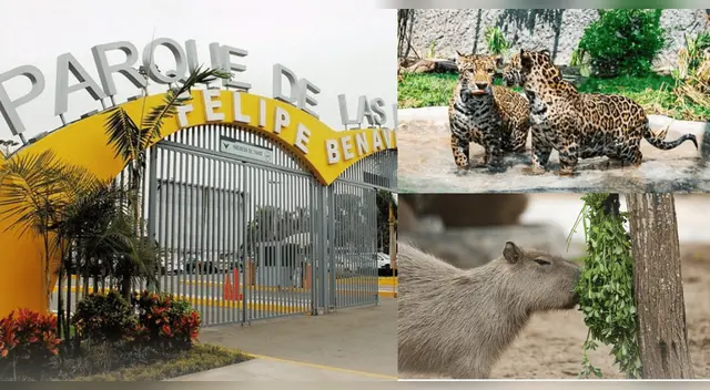 Ingreso gratis al Parque de las Leyendas en octubre de 2025.