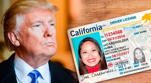 Las licencias de conducir quedarán eliminadas o suspendidas en EE.UU. Las licencias de conducir quedarán eliminadas o suspendidas en EE.UU.