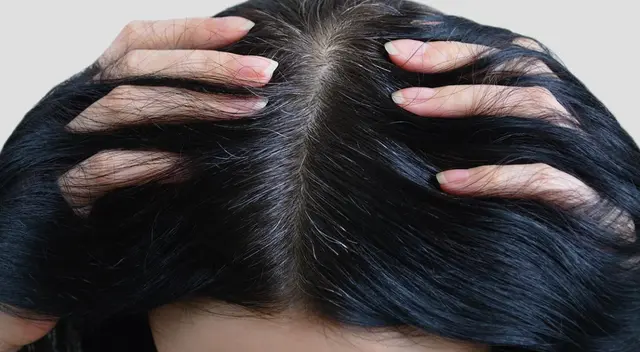 Walmart tiene el champú económico que quita las canas y deja acabado profesional en casa.