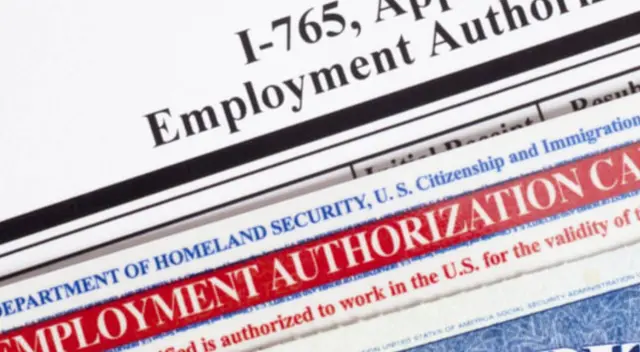 Este es el formulario para la solicitud de autorización de empleo.