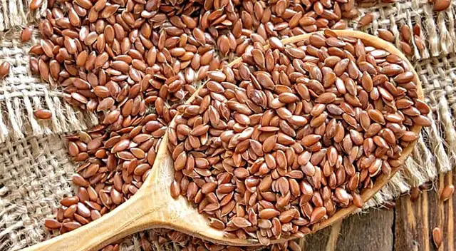 La linaza es rica en fibra, lignanos y vitamina E. Aprende cómo tomarla La linaza es rica en fibra, lignanos y vitamina E. Aprende cómo tomarla