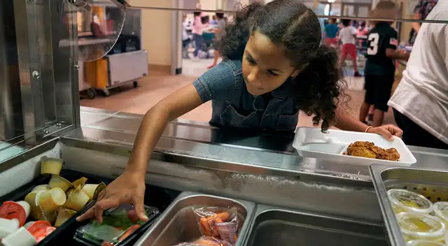 Alimentos enviados a diversas escuelas de EE.UU. estarían contaminados. Alimentos enviados a diversas escuelas de EE.UU. estarían contaminados.