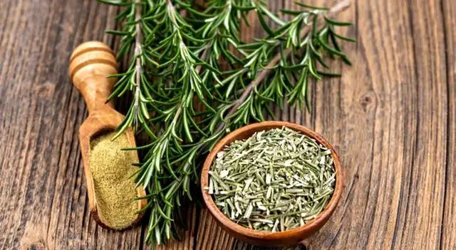 Descubre cómo el romero puede mejorar tu memoria, concentración y salud. Descubre cómo el romero puede mejorar tu memoria, concentración y salud.