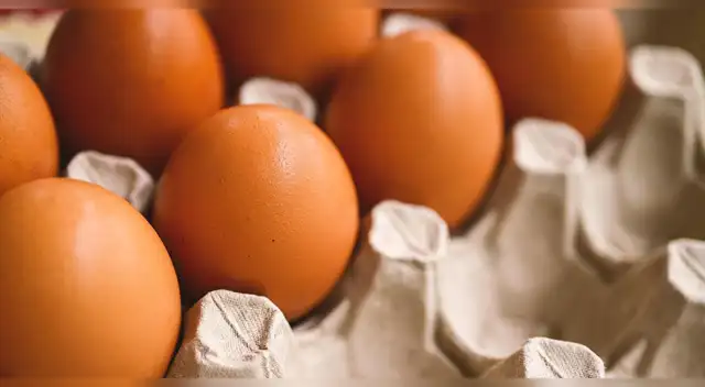 La FDA confirma brote de salmonella en huevos qué lotes están retirando y cómo protegerte.