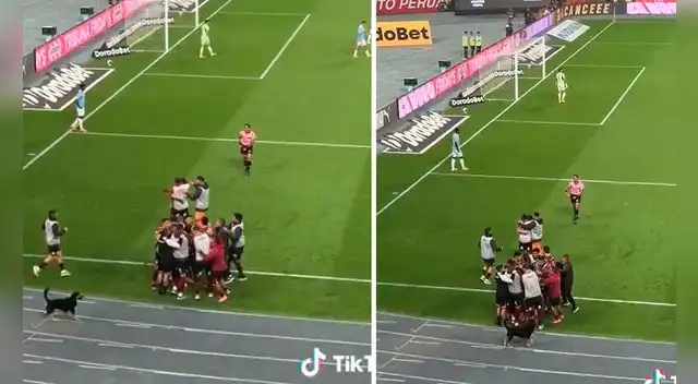 Un perro sorprendió a hinchas celestes al meterse a la cancha para 'celebrar' con los jugadores de Universitario. Foto: TikTok/Luciacespedes72