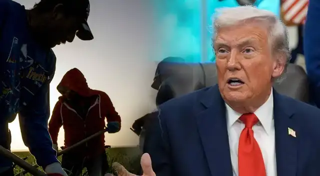 Conoce los riesgos de trabajar sin papeles si eres un inmigrante ilegal en EE. UU.