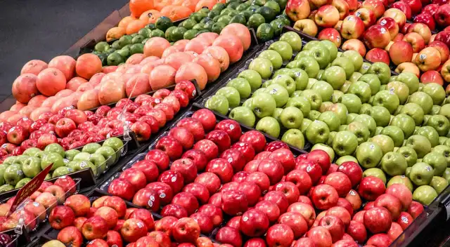 Atención SNAP nuevos requisitos laborales podrían dejar a muchos sin ayuda.