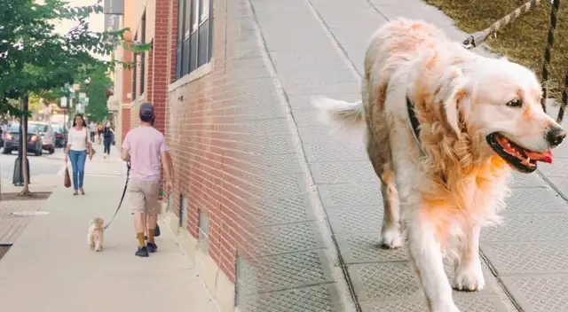 Se ha dado a conocer esta iniciativa en Chicago para ayudar a inmigrantes indocumentados.