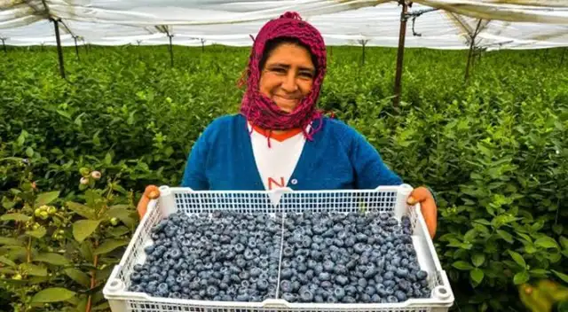 Pequeños agricultores peruanos