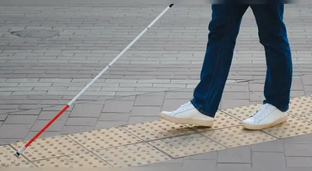 Implantes en el cerebro devuelven parte de la visión: el avance que emociona al mundo científico Implantes en el cerebro devuelven parte de la visión: el avance que emociona al mundo científico