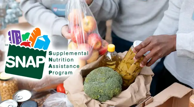 Conoce si se entregarán los cupones de alimentos SNAP de noviembre.