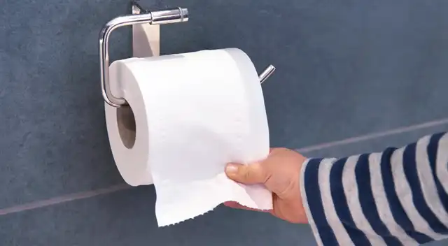 Conoce cuál es el nuevo sustituto del papel higiénico.