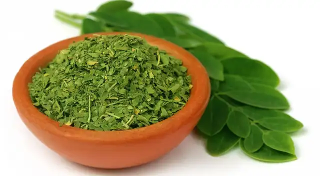 moringa moringa