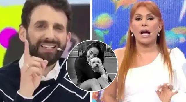 'Peluchín' DESTRUYE a Magaly y la tilda de “miserable” por CULPAR a Onelia de la TRÁGICA muerte de su mascota 'Peluchín' DESTRUYE a Magaly y la tilda de “miserable” por CULPAR a Onelia de la TRÁGICA muerte de su mascota