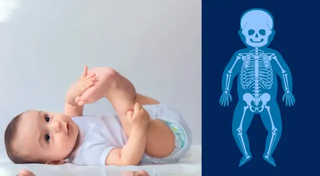 ¿Por qué los bebés al nacer tienen más huesos que los adultos? La sorprendente verdad detrás del desarrollo humano ¿Por qué los bebés al nacer tienen más huesos que los adultos? La sorprendente verdad detrás del desarrollo humano