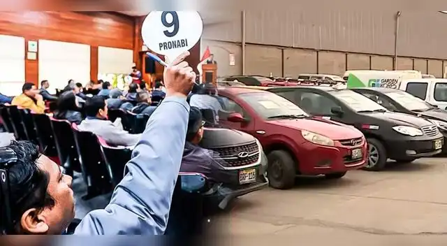 Pronabi alista dos subastas para este mes de diciembre Pronabi alista dos subastas para este mes de diciembre