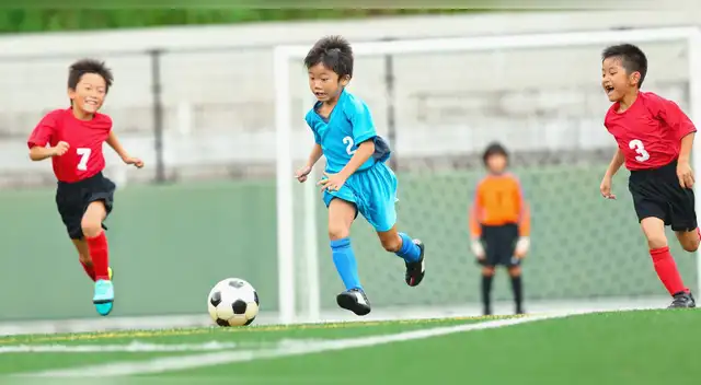 Conoce los talleres deportivos de verano gratis que ofrece esta conocida municipalidad. Conoce los talleres deportivos de verano gratis que ofrece esta conocida municipalidad.