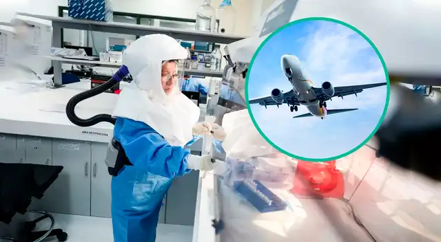 MINSA se pronuncia sobre gripe A H3N2 y toma cartas en el asunto: ¿Qué dijo sobre viajeros por fin de año? MINSA se pronuncia sobre gripe A H3N2 y toma cartas en el asunto: ¿Qué dijo sobre viajeros por fin de año?