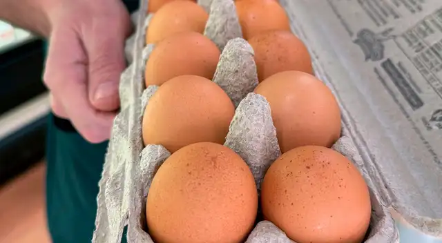 RETIRAN HUEVOS de California por contaminación con Salmonella.