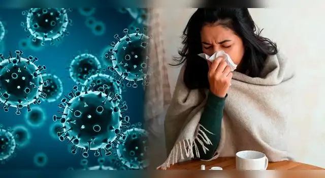 Minsa activa protocolos ante aumento de casos de gripe H3N2 en Perú