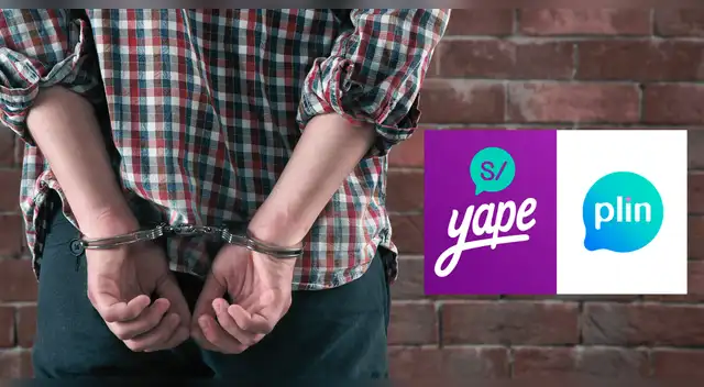 Proyecto de Ley busca sentenciar penalmente a usuarios que no devuelvan "yapeos" o "plineos". Proyecto de Ley busca sentenciar penalmente a usuarios que no devuelvan "yapeos" o "plineos".