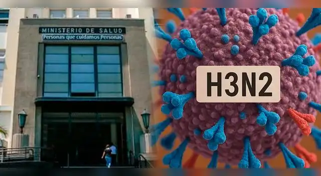 El Minsa dio mayores detalles sobre la alerta que anunciarion por la gripe H3N2 El Minsa dio mayores detalles sobre la alerta que anunciarion por la gripe H3N2
