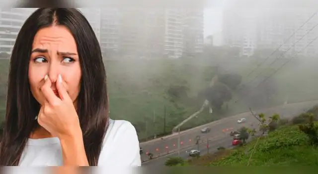 Limeños han reportado un fuerte olor a pescado desde muy tempranas horas Limeños han reportado un fuerte olor a pescado desde muy tempranas horas