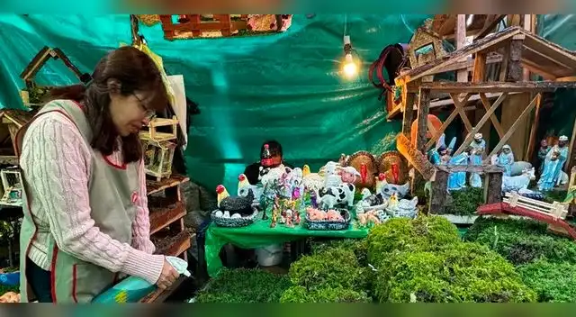 Serfor emitió una alerta por el uso del musgo en los nacimientos por Navidad Serfor emitió una alerta por el uso del musgo en los nacimientos por Navidad