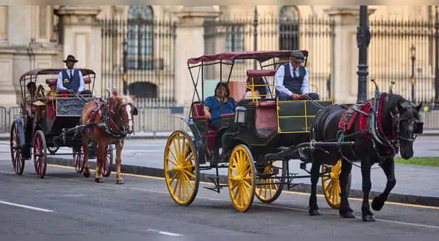 Poder Judicial ordena el fin de los paseos en carroza con caballos en la Plaza de Armas de Lima.