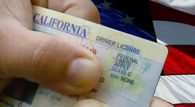 licencia de conducir