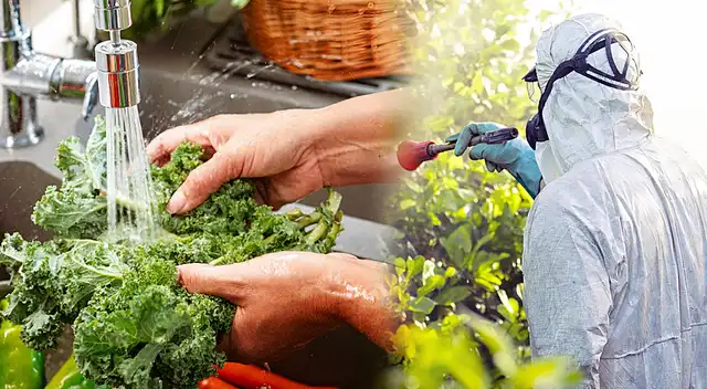Descubre cómo eliminar pesticidas de frutas y verduras con ingredientes naturales.