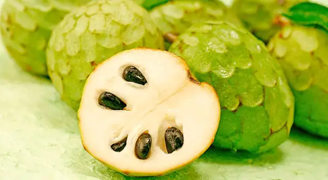 Estudios revelan que la chirimoya tiene propiedades antidepresivas y antihipertensivas.