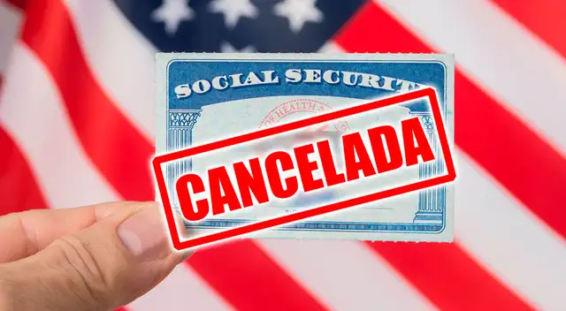 El ERROR MÁS COMÚN por el que te dan de baja en los pagos el Seguro Social. El ERROR MÁS COMÚN por el que te dan de baja en los pagos el Seguro Social.