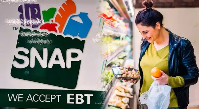 Fecha y montos de pago para los beneficiarios SNAP en Florida.