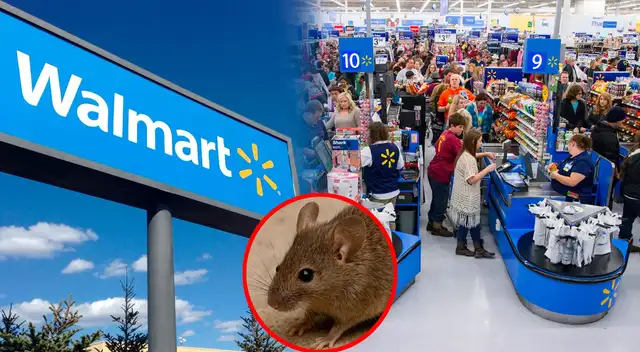 Detectan RATAS en el reconocido supermercado Walmart ubicado en Humble.