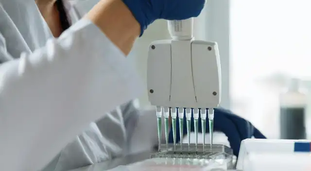 Migración en EE. UU.  Gobierno confirma retención de ADN a quienes entren sin visa.