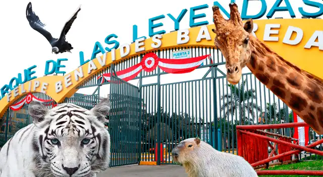 Falleció histórico animal en el Parque de las Leyendas.