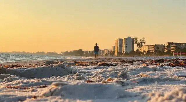 Alerta por frío extremo en Miami Beach el termómetro cae a niveles históricos.