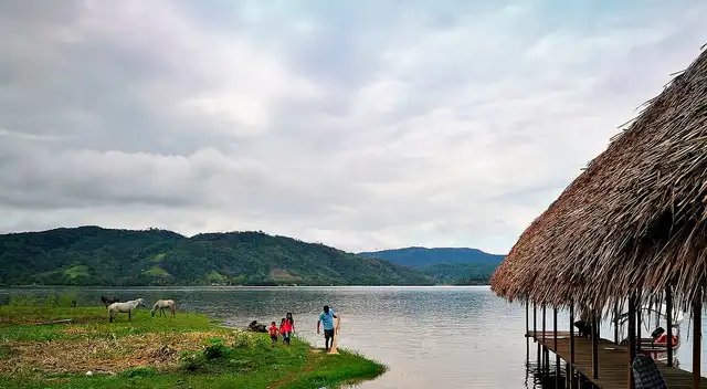 Conoce más detalles sobre este nuevo animal que se ha redescubierto.