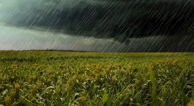 Conoce las zonas que se verán afectadas con el incremento de las lluvias.