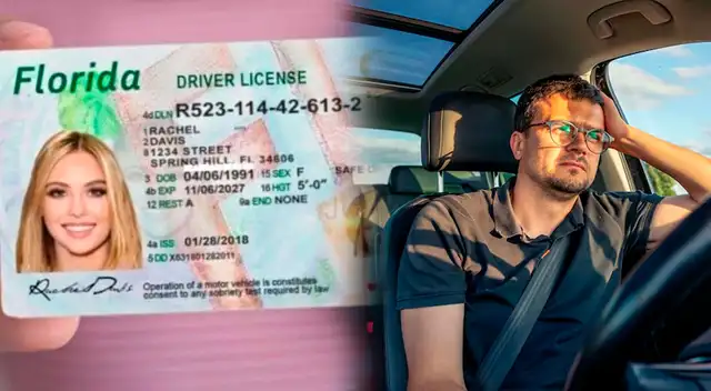 Las licencias de conducir de Florida podrá mostrar si la persona es ciudadana americana o no.