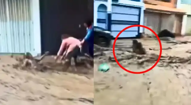 Mujer es arrastrada por huaico en Cayma.