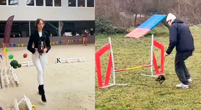 Reportan NUEVO FENÓMENO social: de los therians al 'HOBBY DOGGING', personas que pasean mascotas IMAGINARIAS o perros INVISIBLES