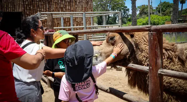 Parque de las Leyendas lanza un descuento del 50% en sus entradas para estos ciudadanos.