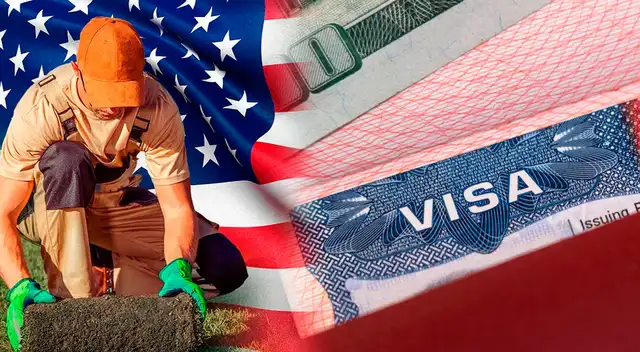 Ofrecen visas para trabajar legalmente sin título universitario en EE.UU.