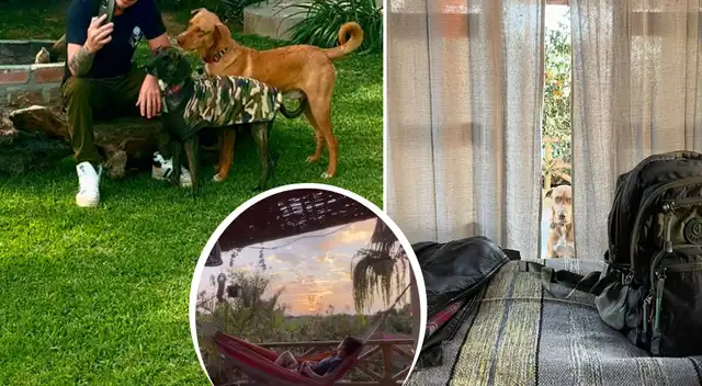 Reconocido expresentador peruano ABANDONA TODO y vive ALEJADO del mundo: conversa solo con sus 3 perros